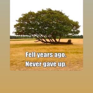 Meet your Posher, Sherry